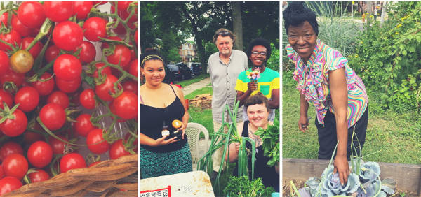 photos: cherry tomatoes on the vine, farm stand, gardener