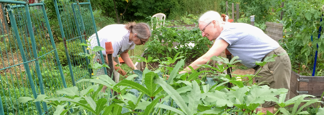 photo:two women gardening