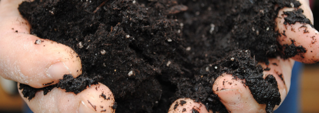 photo: hands holding soil. Image courtesy Pat Dumas via Creative Commons