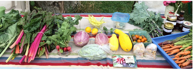 photo of table with fresh produce