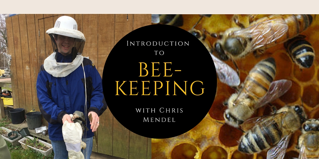 Introduction to Beekeeping with Chris Mendel