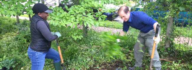 man and woman dig in garden