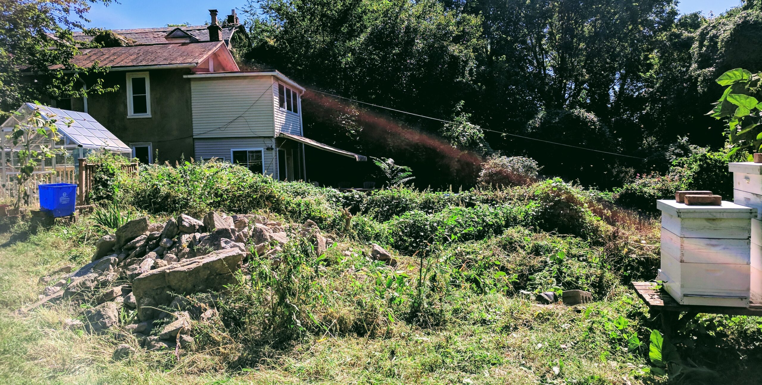 photo of pile of stones beside grassy area in garden