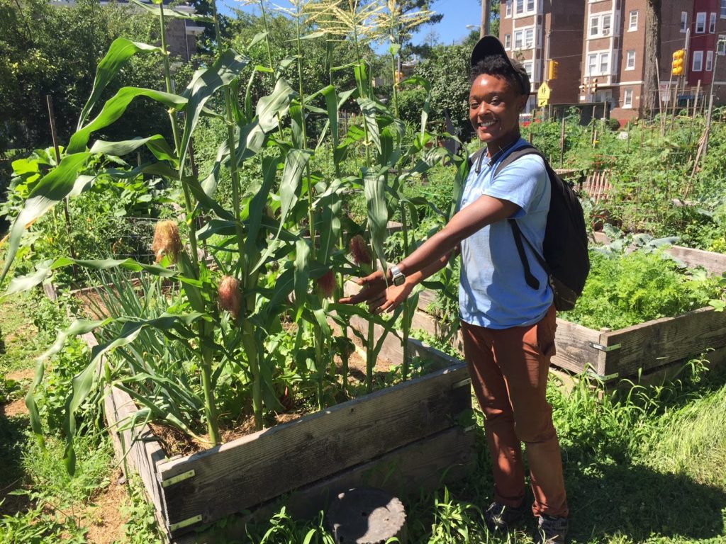 photo: person standing beside garden plot with corn growing