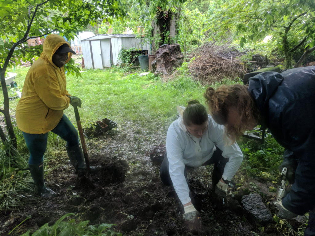 photo: three people digging in rain gear