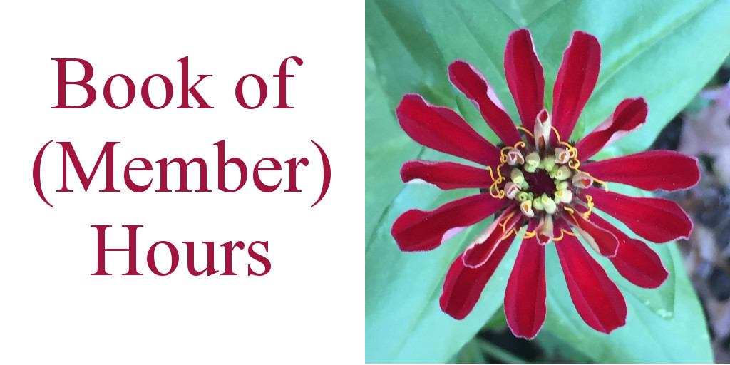 "Book of (Member) Hours" with photo of red flower