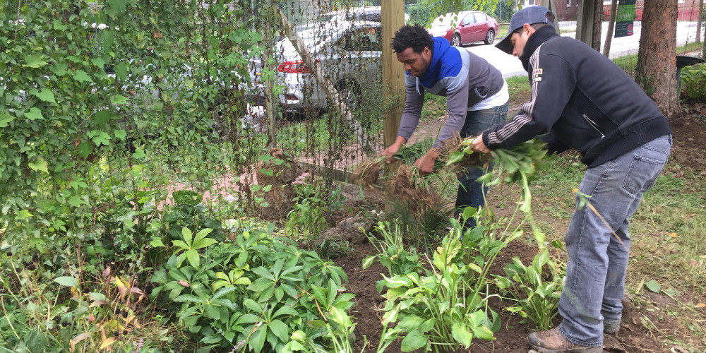 photo: two men trimming weeds on fence