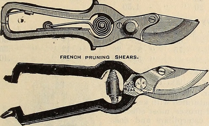 engraving: pruning shears