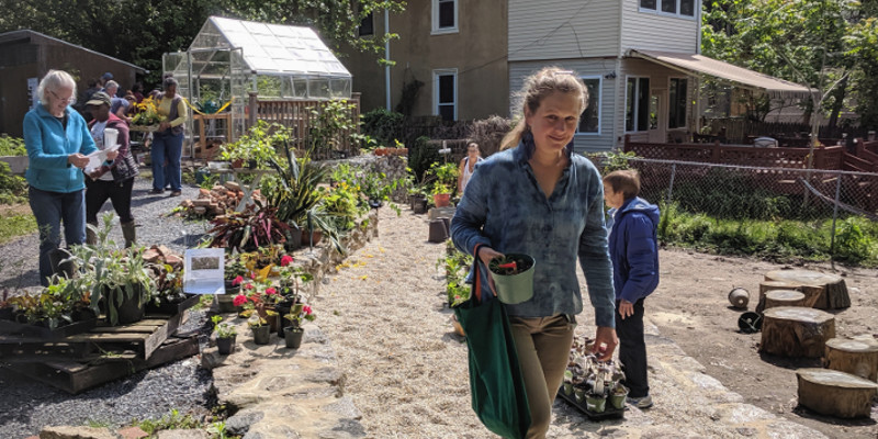 photo of people selecting plants outdoors