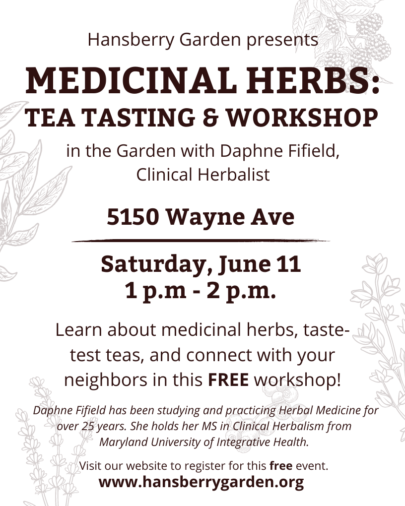 Medicinal Herbs: Tea Tasting & Workshop in the Garden with Daphne Fifield, Clinical Herbalist