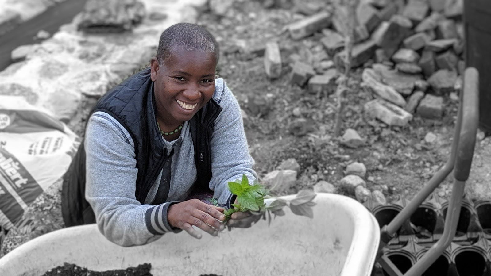 photo of woman with plant kneeling by wheelbarrow