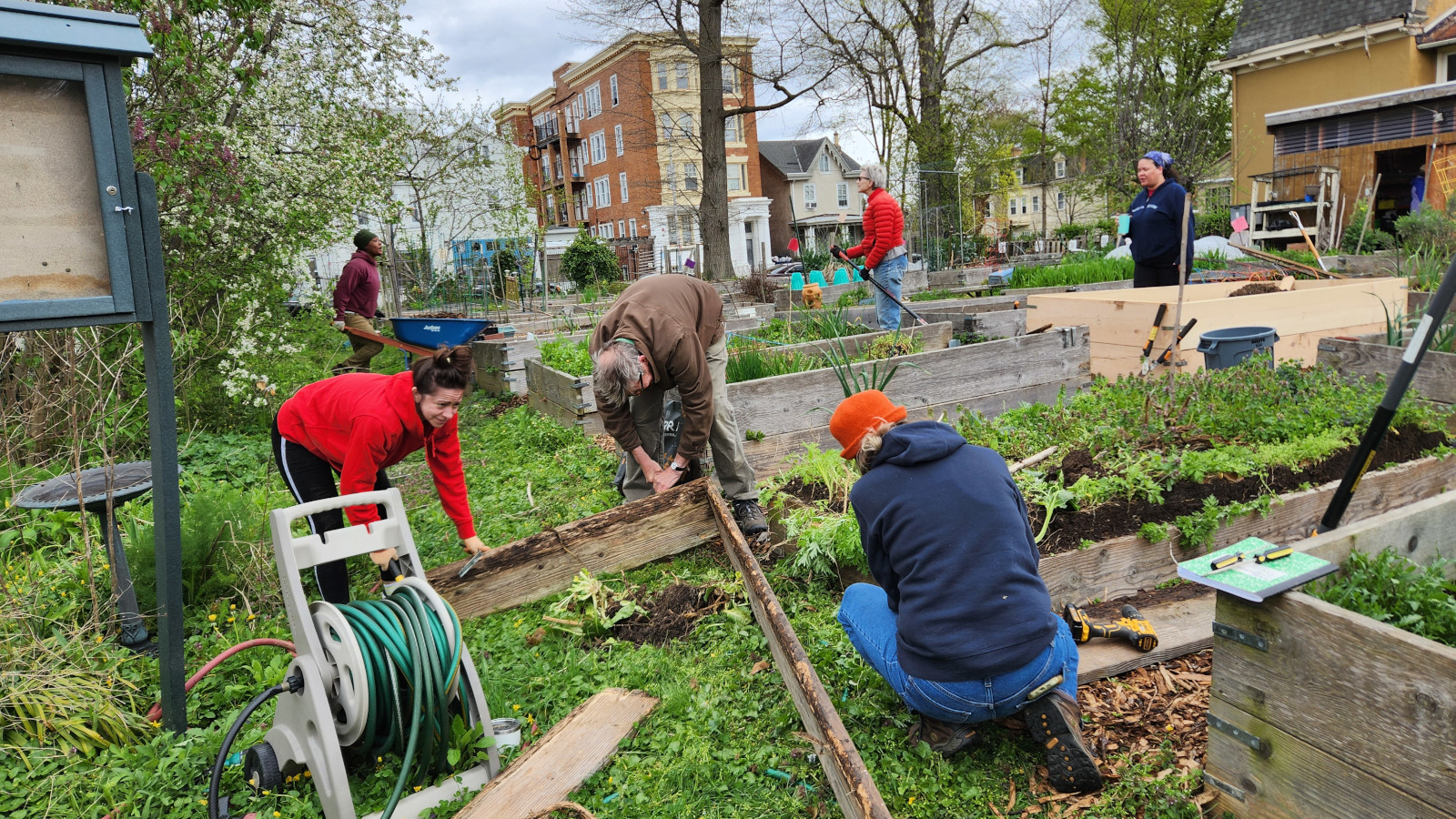 photo: people working in community garden