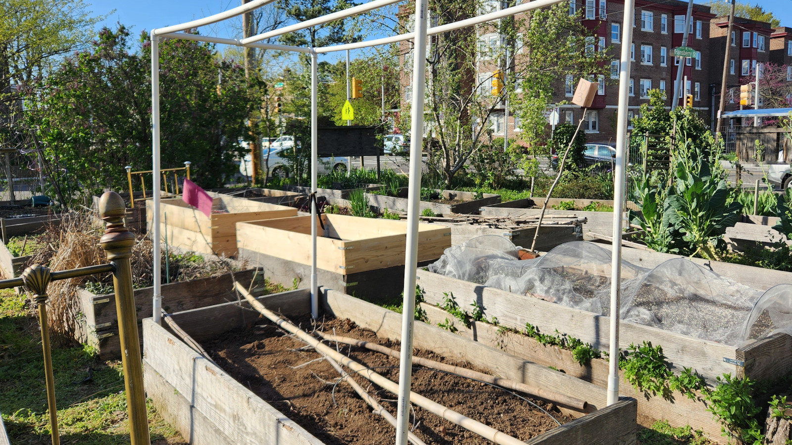 photo: structure made of PVS pipes in raised garden bed